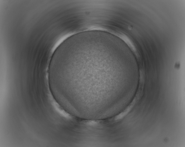 X0000092030814200709271608