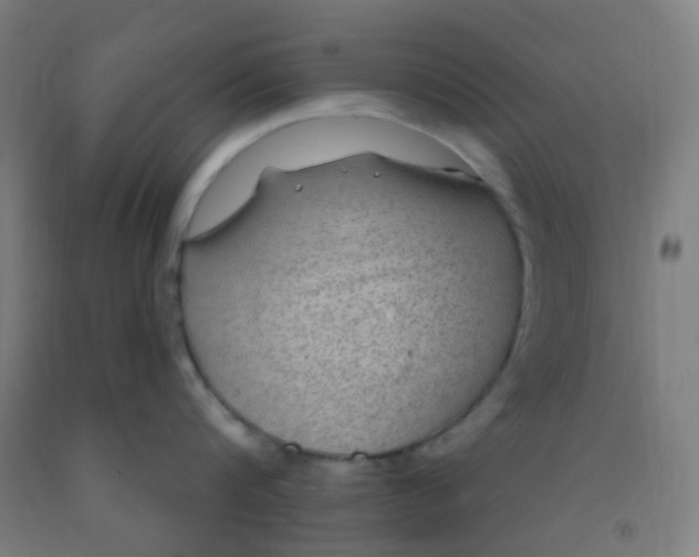 X0000092030816200709271608