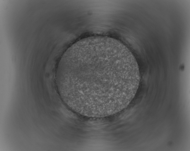 X0000092030817200709271607