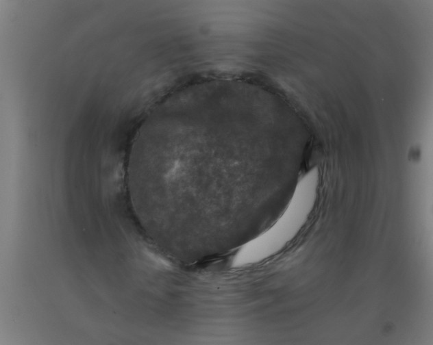 X0000092030818200709271607