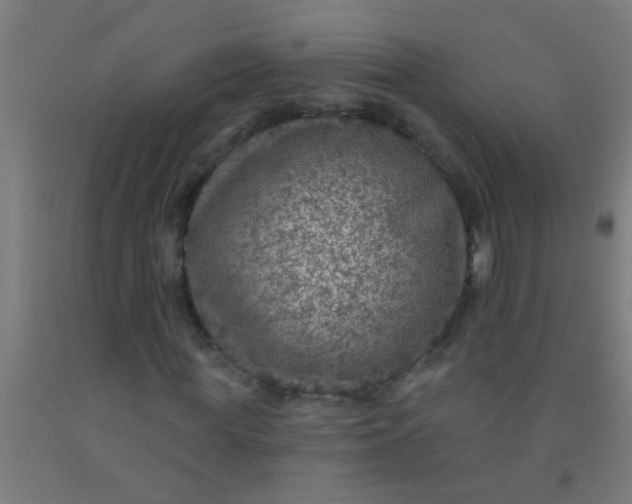 X0000092030819200709271607