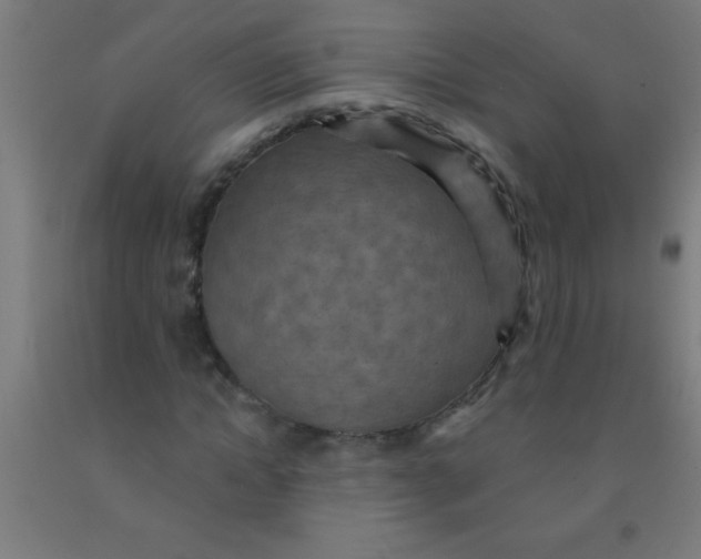 X0000092030822200709271607