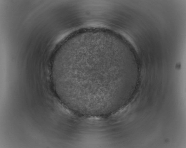 X0000092030823200709271607