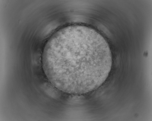 X0000092030824200709271607