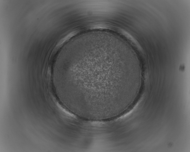 X0000092030825200709271607