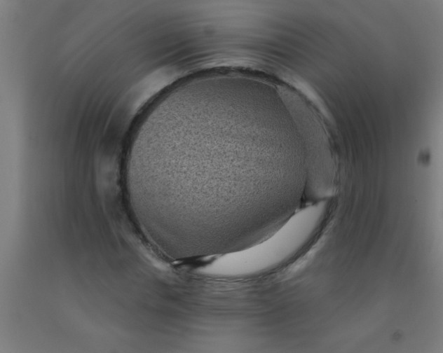 X0000092030826200709271607