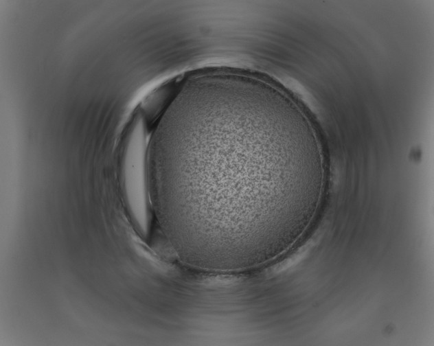 X0000092030830200709271607