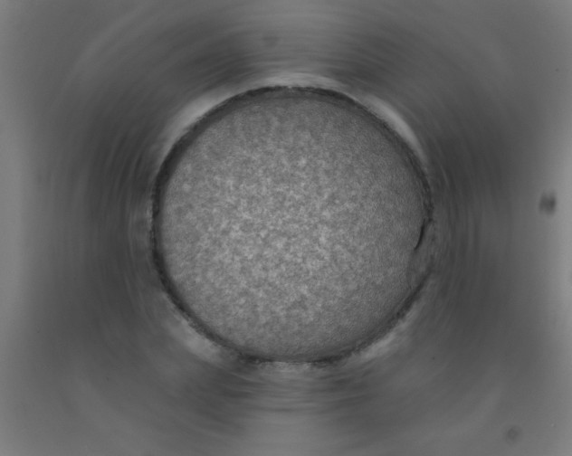 X0000092030831200709271607