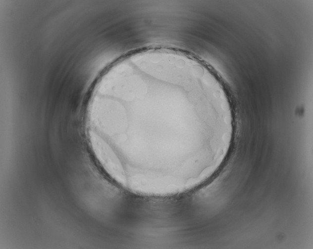 X0000092030832200709271607