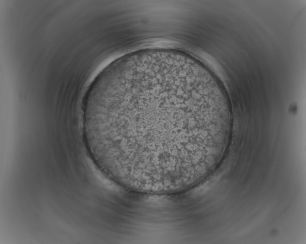 X0000092030835200709271607