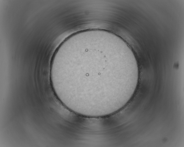 X0000092030836200709271607