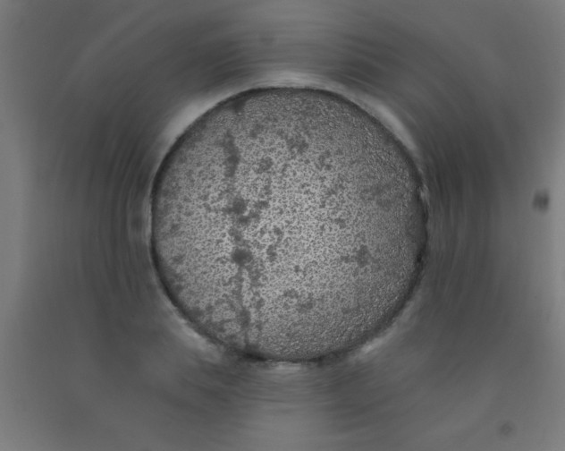 X0000092030839200709271607