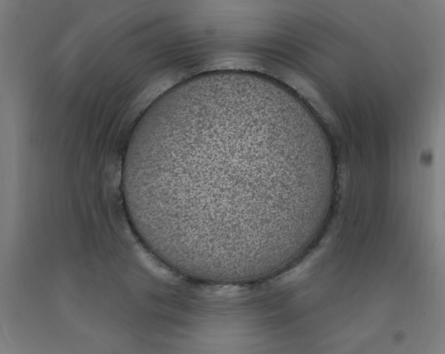 X0000092030841200709271607