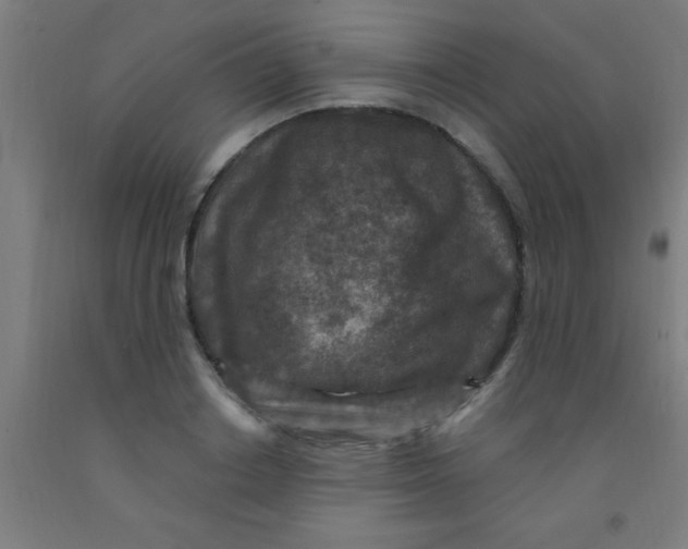 X0000092030842200709271607