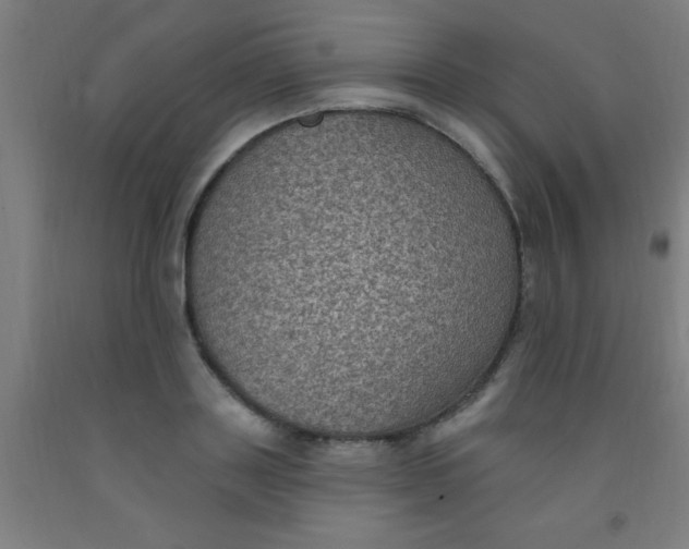 X0000092030843200709271607