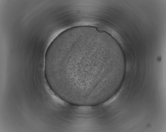 X0000092030844200709271608