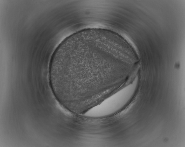 X0000092030845200709271608