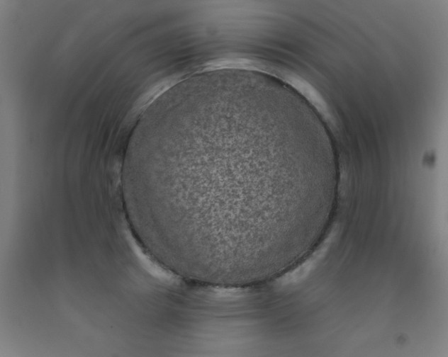 X0000092030849200709271608