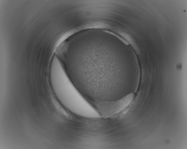 X0000092030850200709271608