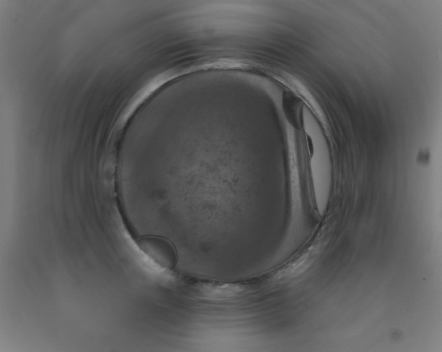 X0000092030851200709271608