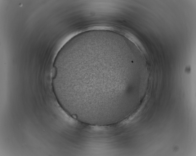 X0000092030852200709271608