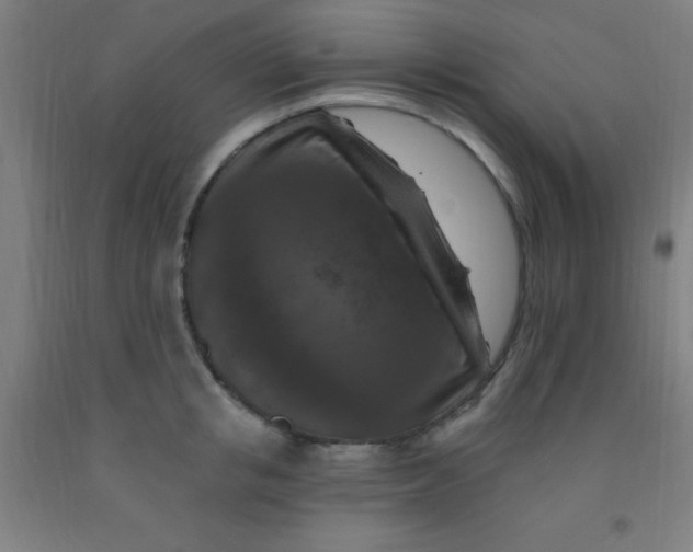 X0000092030853200709271608