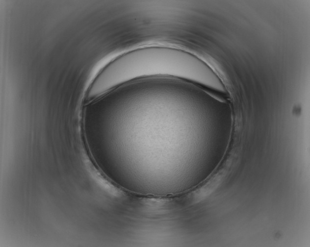 X0000092030854200709271608