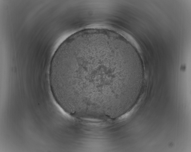 X0000092030855200709271608