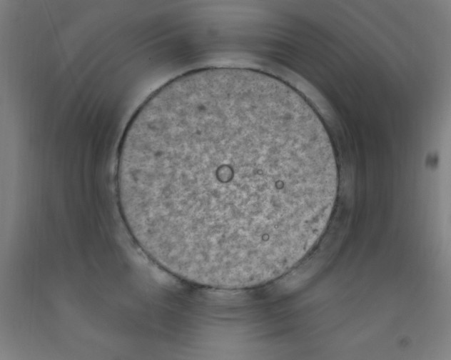 X0000092030856200709271608