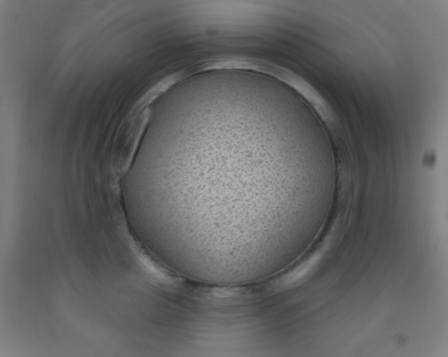 X0000092030857200709271608