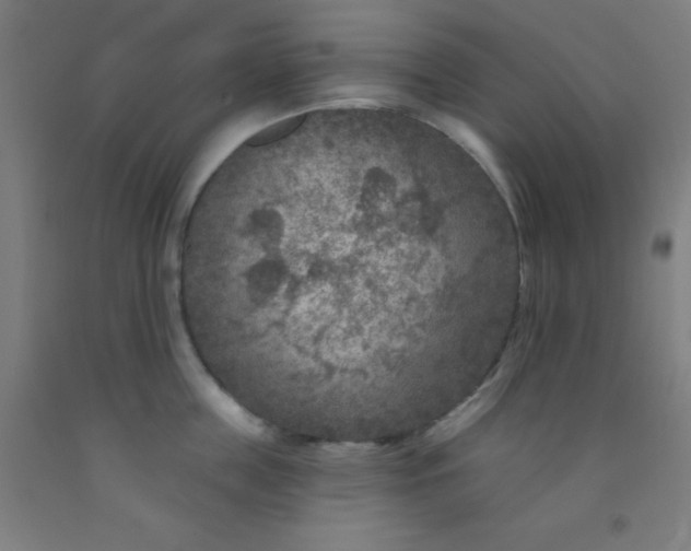 X0000092030859200709271608