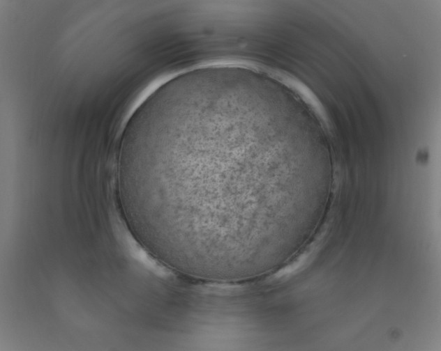 X0000092030860200709271608