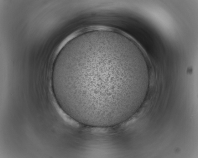 X0000092030861200709271608