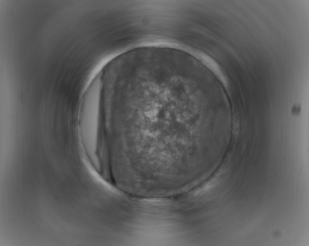 X0000092030863200709271608