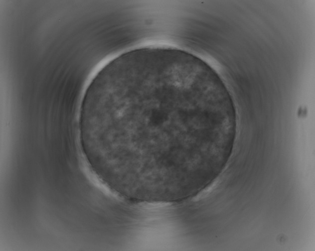 X0000092030864200709271608