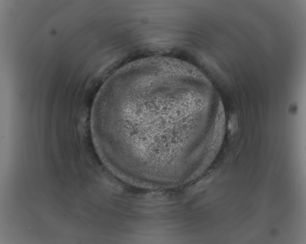 X0000092030867200709271607