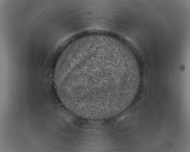 X0000092030870200709271607