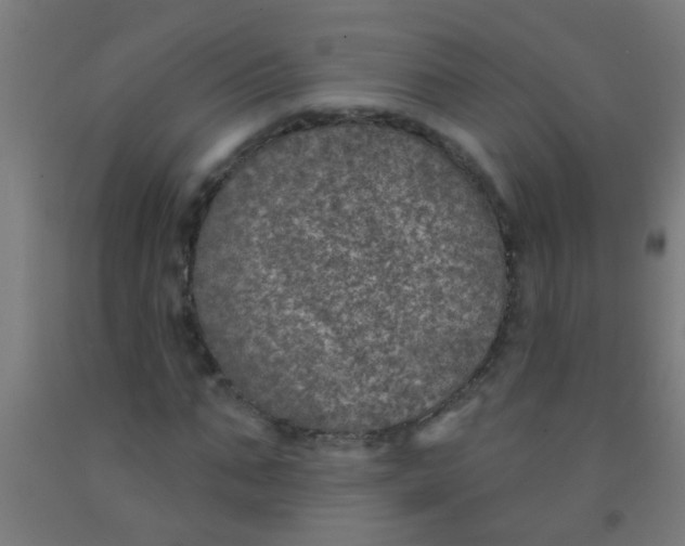 X0000092030871200709271607