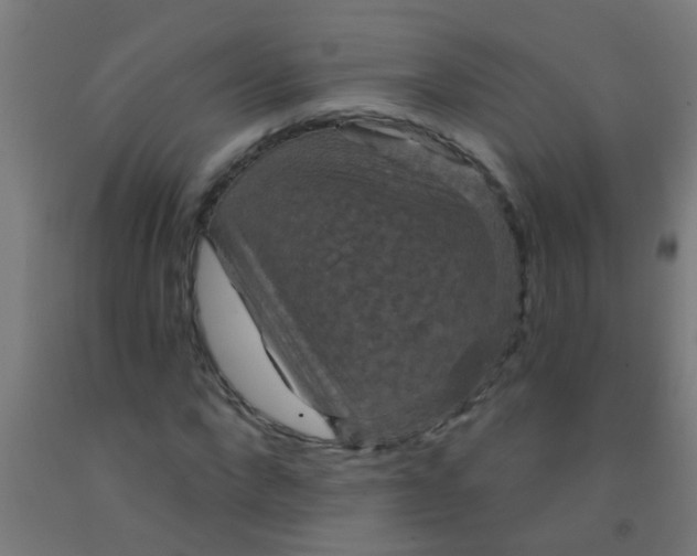 X0000092030872200709271607