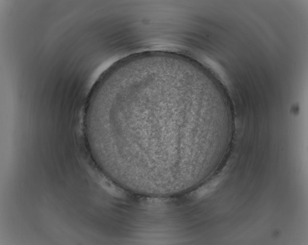 X0000092030875200709271607