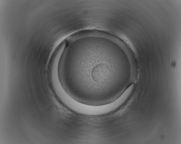 X0000092030876200709271607