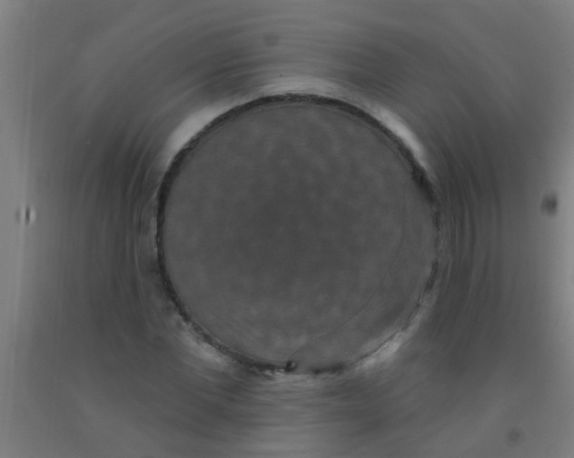 X0000092030877200709271607