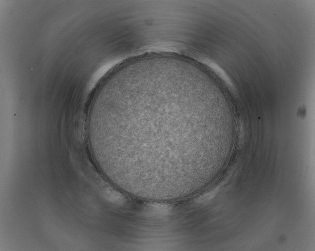 X0000092030878200709271607