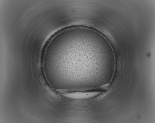 X0000092030880200709271607