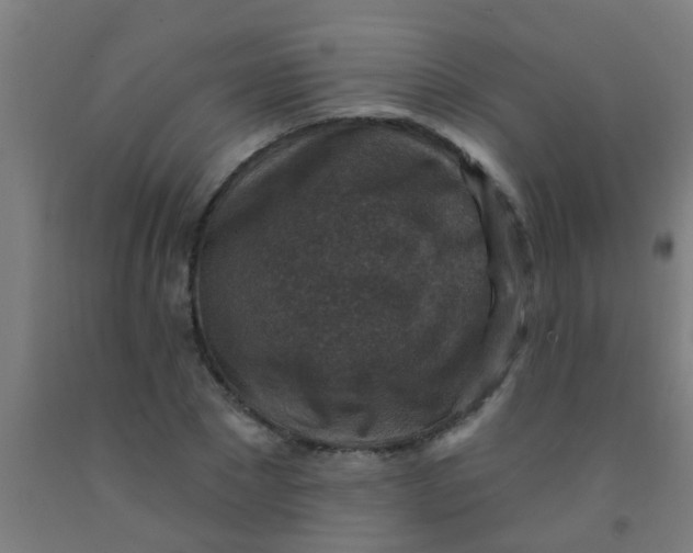 X0000092030881200709271607