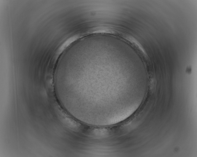 X0000092030882200709271607