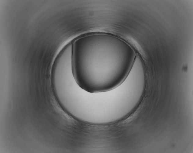 X0000092030884200709271607