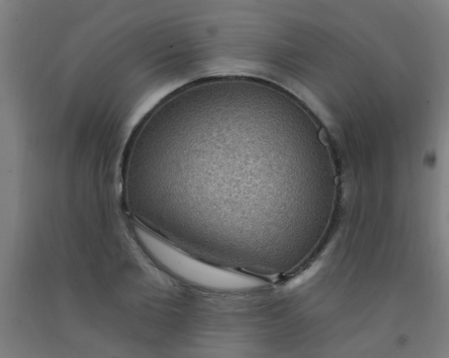 X0000092030885200709271607