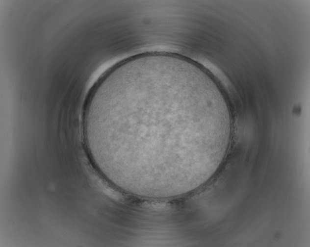 X0000092030886200709271607