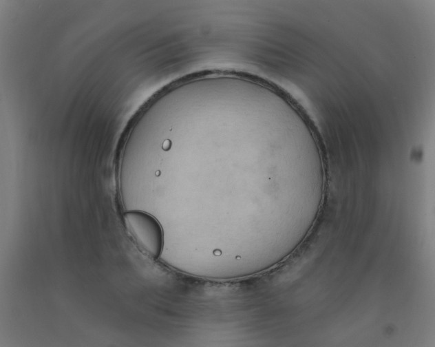 X0000092030887200709271607